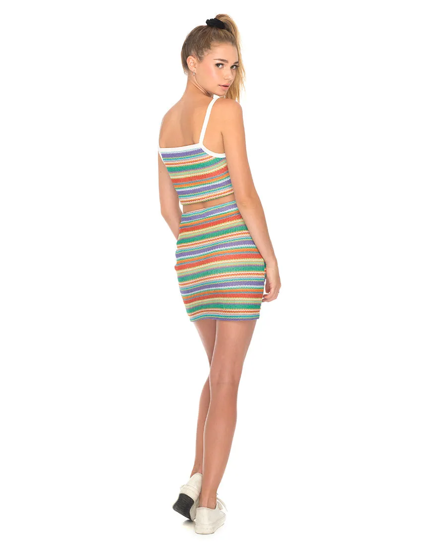 Kimmy Bodycon Skirt in Rainbow Knit