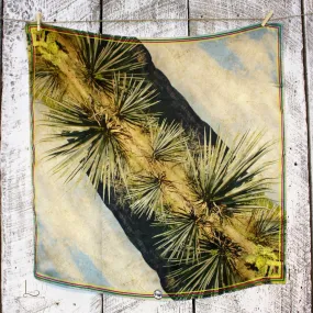 The Yucca Peared Shorty ~ Wild Rag